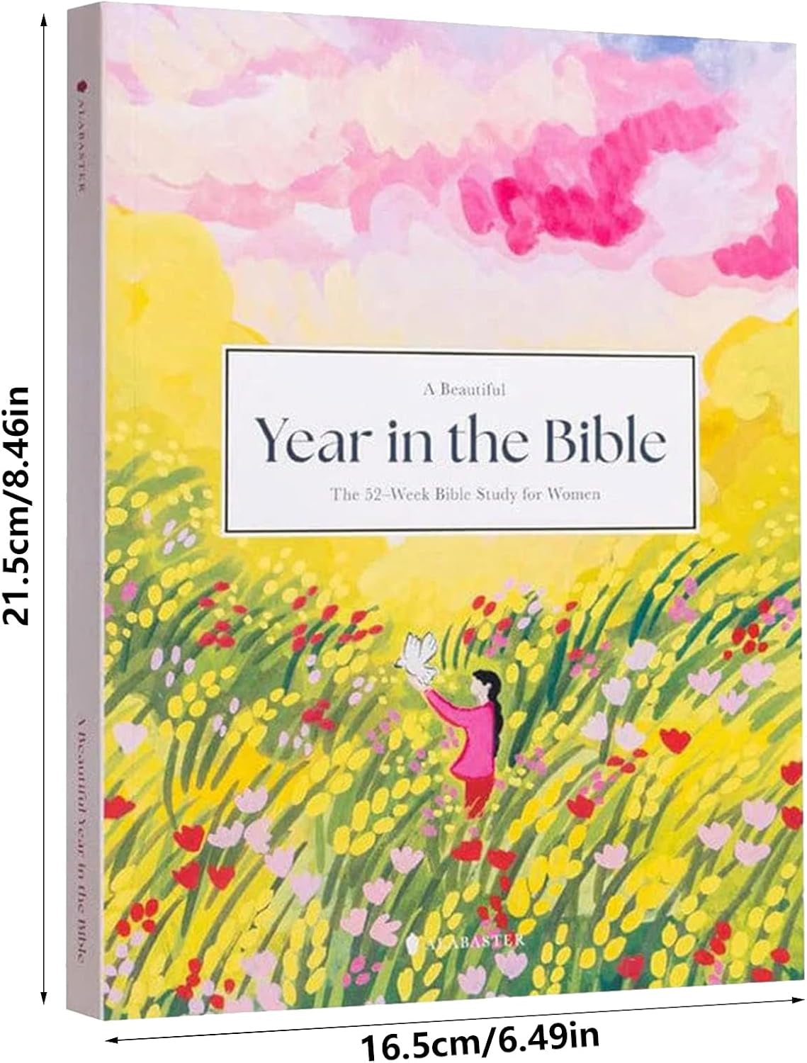 A Beautiful Year - the 52-Week Bible Study for Women Bible Study Guide Women Year in the Bible