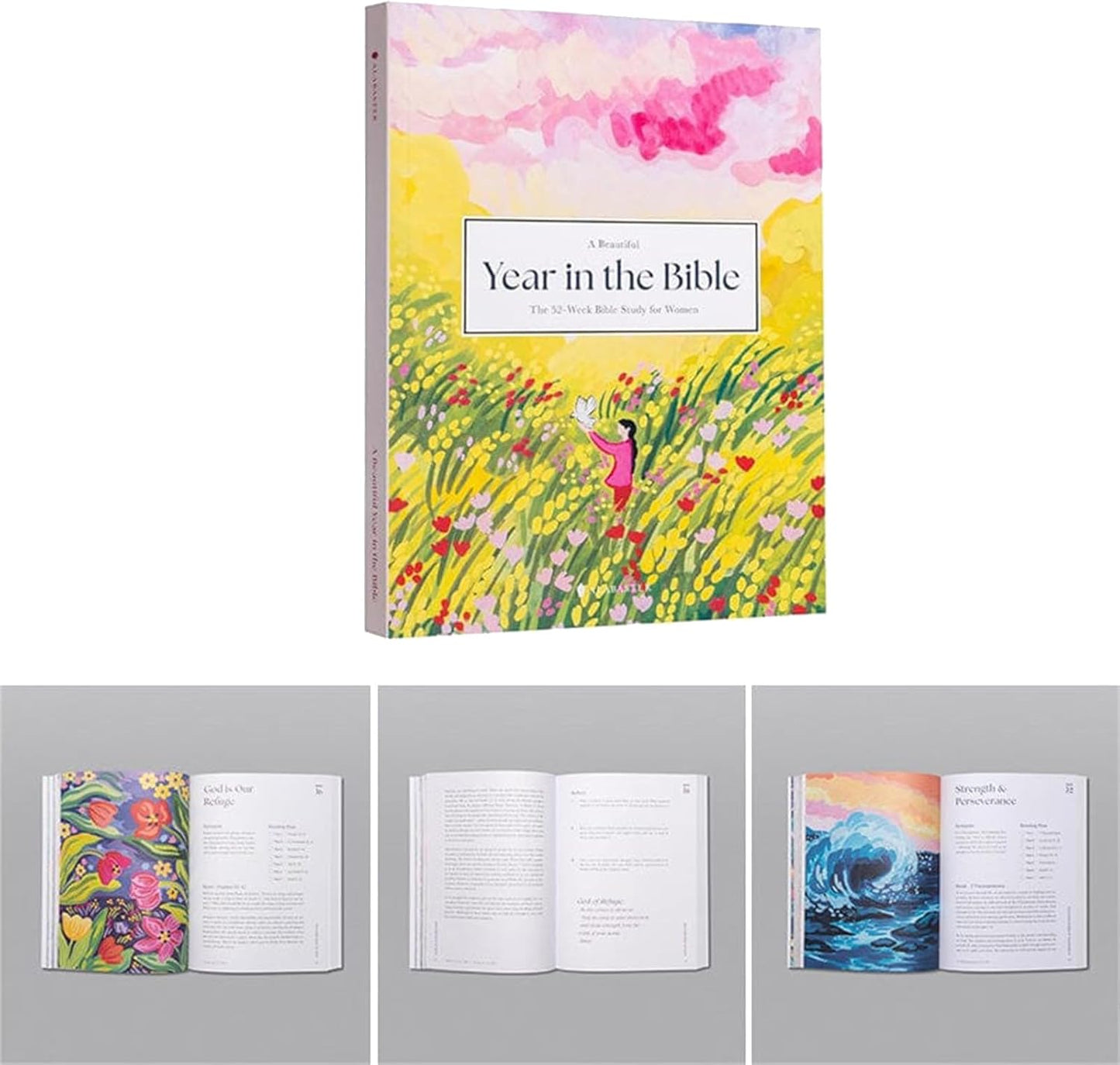 A Beautiful Year - the 52-Week Bible Study for Women Bible Study Guide Women Year in the Bible